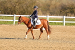 SBM_000646