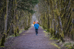 Kielder Ultra-1206