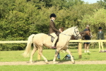 SBM_67417