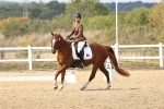 SBM_018805