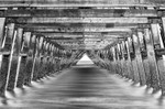 Steetley Pier (10)