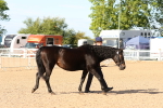 SBM_17648
