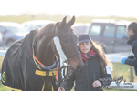 Hursley Hambledon Point-to-Point Larkhill 01/12/24 portfolio