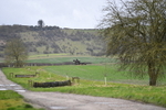 WJ5_4059