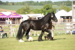 SBM_10374