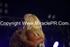 Lady Gaga portfolio