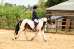 SBM_000881