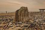 Fleetwood Stump C