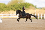 SBM_009658