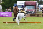 SBM_08248