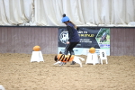 SBM_001209