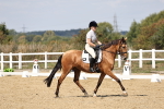 SBM_018645