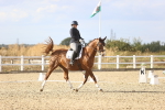 SBM_016040