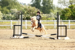 SBM_006379