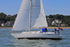 180603 CORNISH GOLD GBR2264L 1Y3A4068_Edit