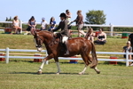 3E7A6982