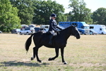 WJ6_7466