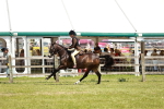 SBM_15801