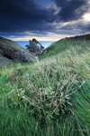 Bow Fiddle Rock Portknockie