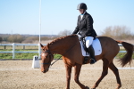 SBM_003379