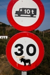Speeding Donkeys