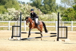 SBM_007053