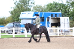 SBM_00334