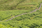 Wasdale-181