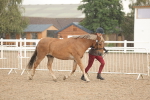 SBM_07733