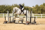 SBM_03876
