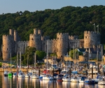 Conwy Castle (2)