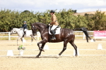 SBM_004238