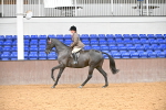 SBM_001941