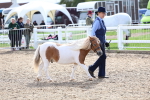 SBM_01913