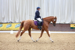 SBM_002413