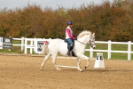 SBM_001764