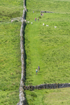 Settle Hills-4