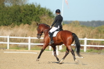 SBM_000842