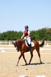 SBM_011731