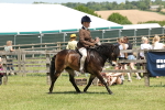 SBM_06798