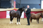 SBM_16807