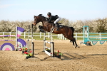 SBM_001618