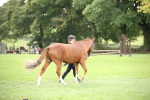 SBM_44359