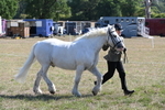WJ6_4541