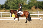 SBM_008313