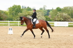SBM_006533