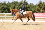 SBM_006576