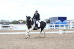 SBM_04939