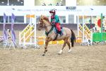 SBM_001364