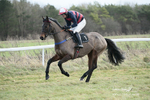 Larkhill Racing Club Point-to-Point 02/01/2022 portfolio